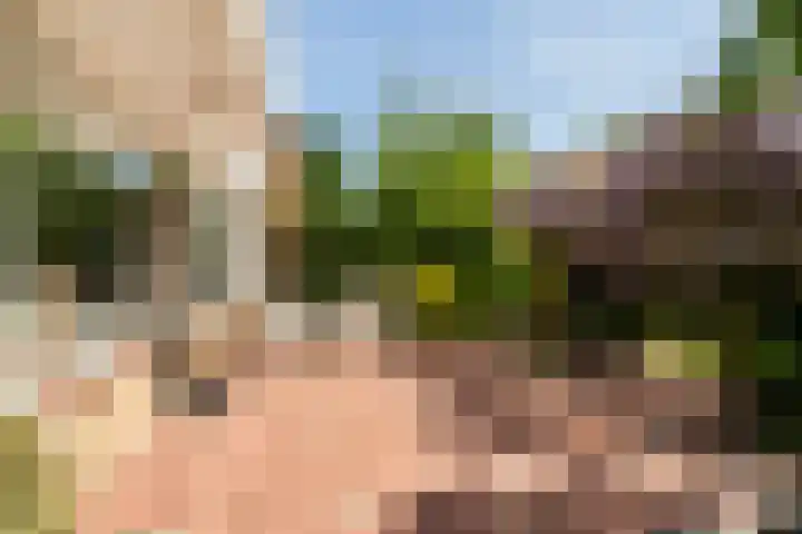 Prof. Evertslaan 122 Delft thumbnail 19