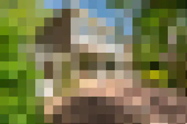 Prof. Evertslaan 122 Delft thumbnail 21