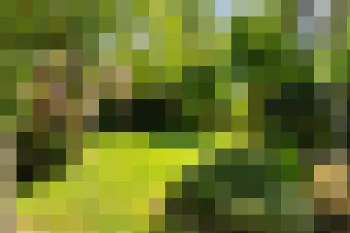 Prof. Evertslaan 122 Delft thumbnail 24