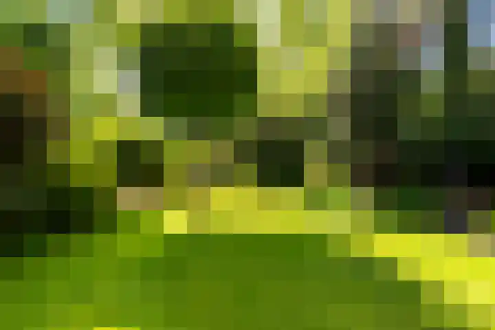 Prof. Evertslaan 122 Delft thumbnail 26