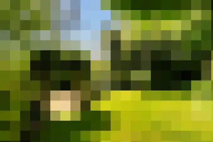 Prof. Evertslaan 122 Delft thumbnail 28