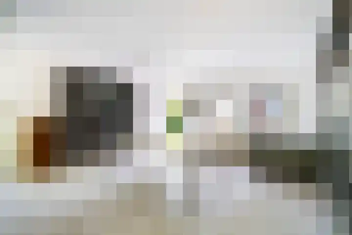 Prof. Evertslaan 122 Delft thumbnail 33