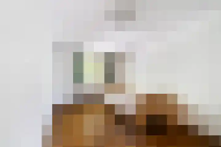 Prof. Evertslaan 122 Delft thumbnail 41