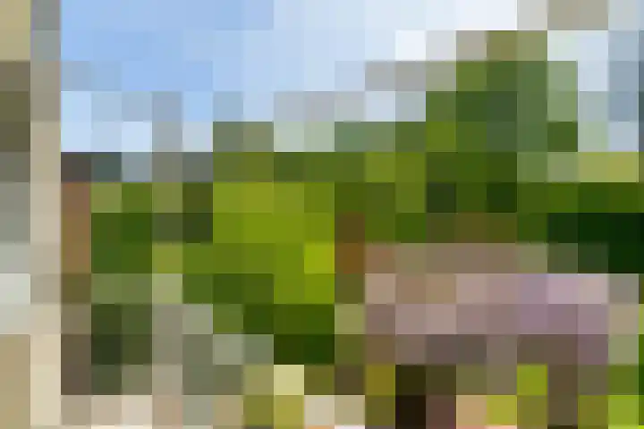 Prof. Evertslaan 122 Delft thumbnail 56