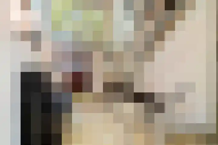 Prof. Evertslaan 122 Delft thumbnail 57