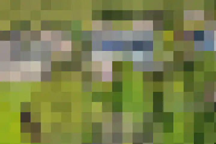Prof. Evertslaan 122 Delft thumbnail 71