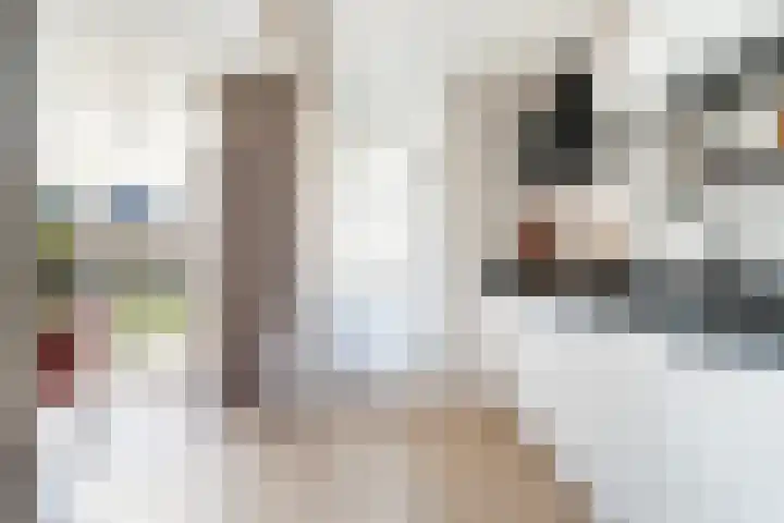 Prof. Heymansstraat 14 Ferwert thumbnail 17