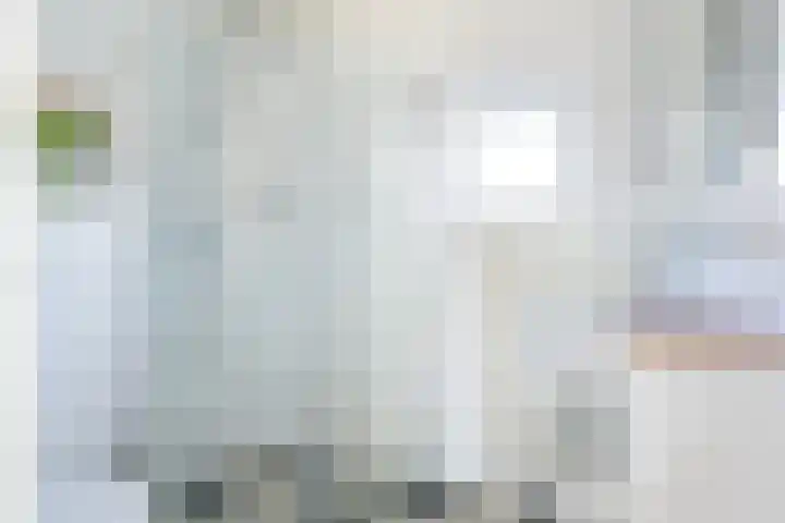Prof. Heymansstraat 14 Ferwert thumbnail 29