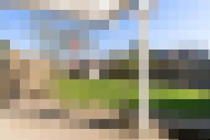 Prof. Heymansstraat 14 Ferwert thumbnail 32