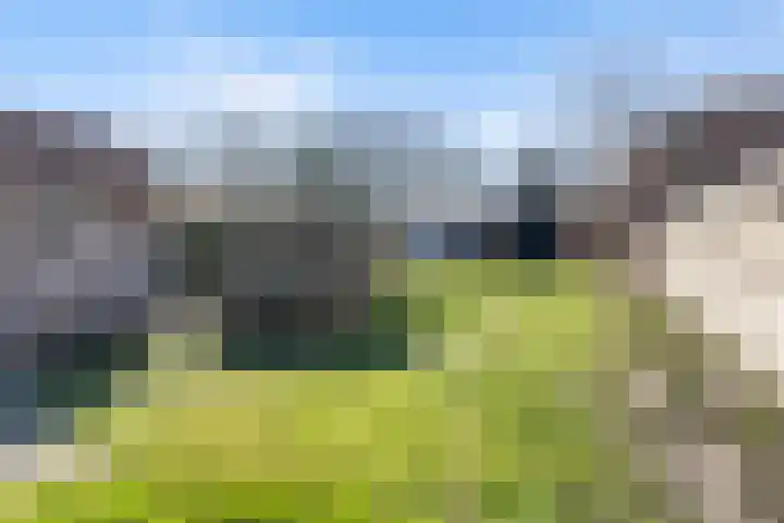 Prof. Heymansstraat 14 Ferwert thumbnail 35