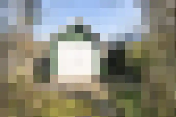Prof. Heymansstraat 14 Ferwert thumbnail 36