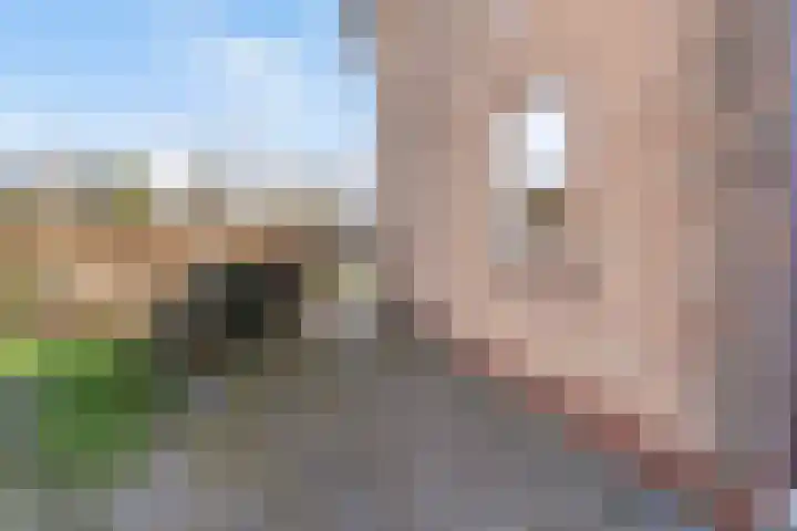 Prof. Heymansstraat 14 Ferwert thumbnail 38