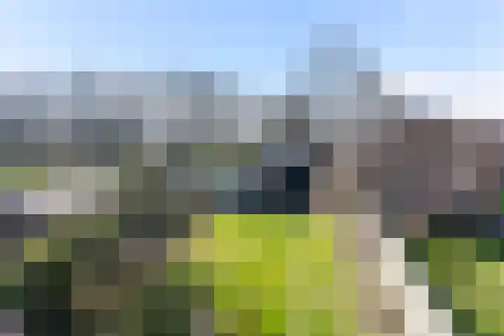 Prof. Heymansstraat 14 Ferwert thumbnail 39