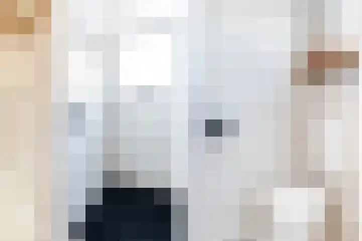 Prof. Heymansstraat 14 Ferwert thumbnail 7