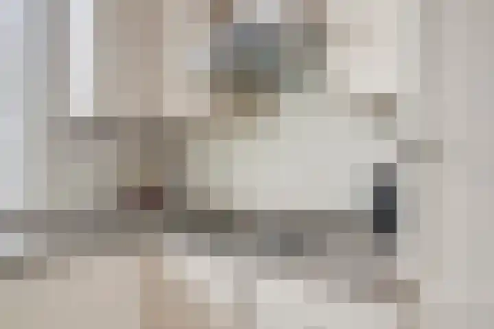 Prof. K. Schilderhof 9 Kampen thumbnail 16
