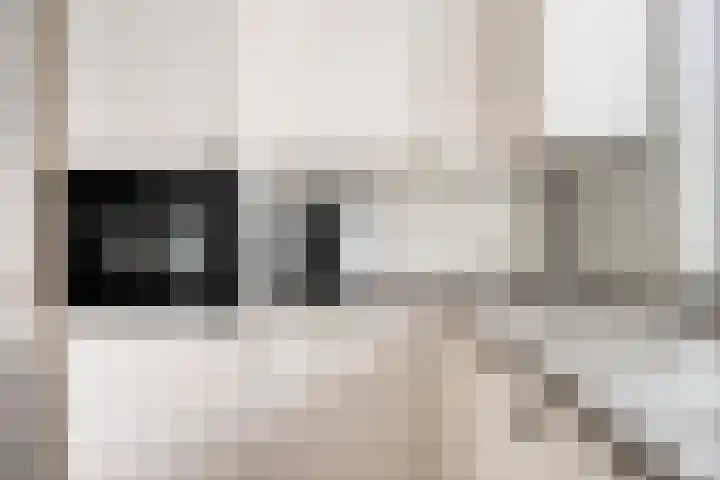 Prof. K. Schilderhof 9 Kampen thumbnail 17