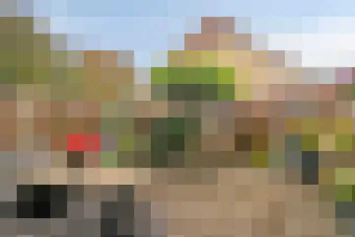 Prof. K. Schilderhof 9 Kampen thumbnail 29