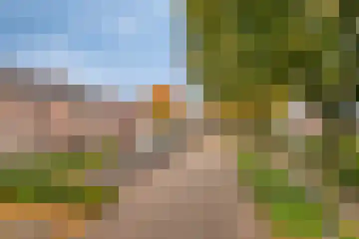 Prof. K. Schilderhof 9 Kampen thumbnail 35
