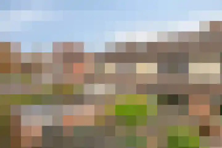 Prof. K. Schilderhof 9 Kampen thumbnail 36