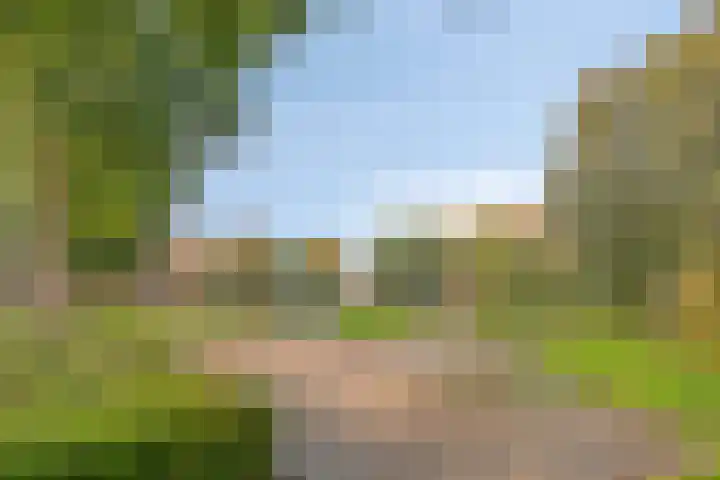 Prof. K. Schilderhof 9 Kampen thumbnail 38
