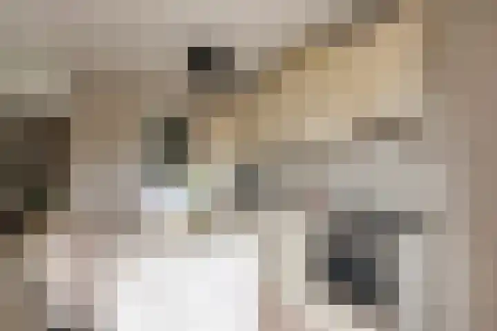 Prof. Lorentzlaan 1 D Soesterberg thumbnail 8