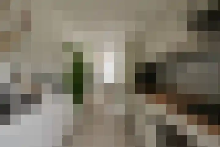 Prof. Lorentzlaan 13 Soesterberg thumbnail 11