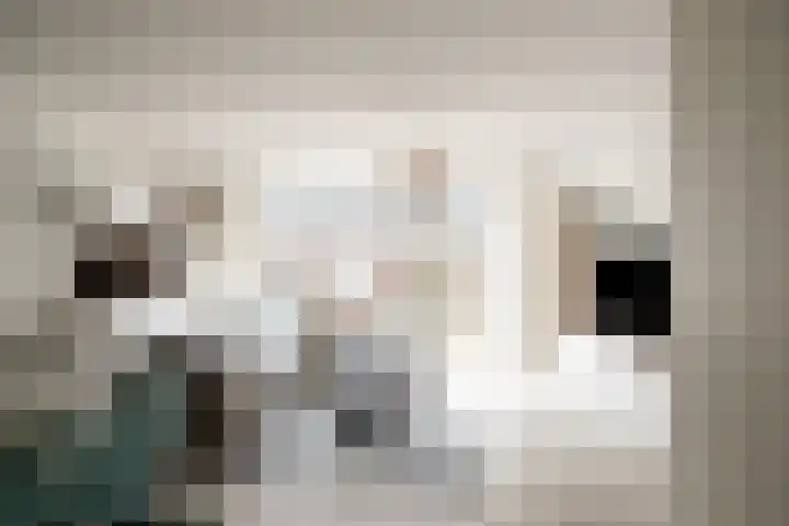 Prof. Lorentzlaan 13 Soesterberg thumbnail 4