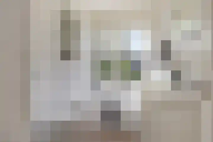 Prof. Ritzema Boslaan 41 Utrecht thumbnail 19