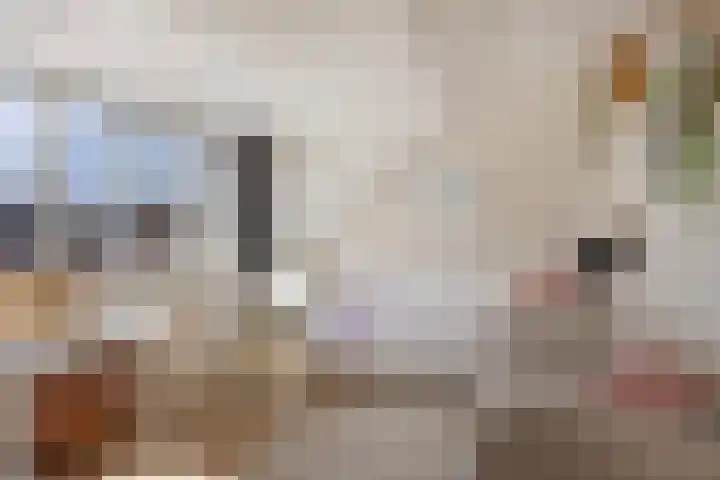 Prof. Ritzema Boslaan 41 Utrecht thumbnail 22