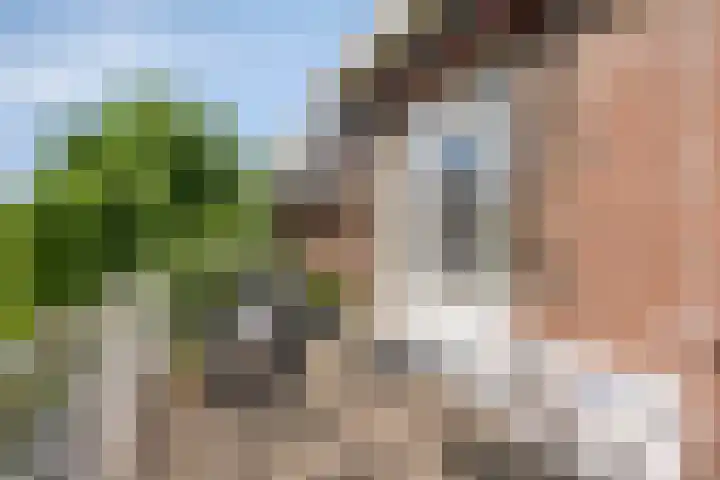 Prof. Ritzema Boslaan 41 Utrecht thumbnail 28