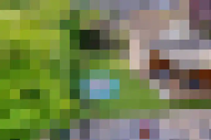Prof. Ritzema Boslaan 41 Utrecht thumbnail 29