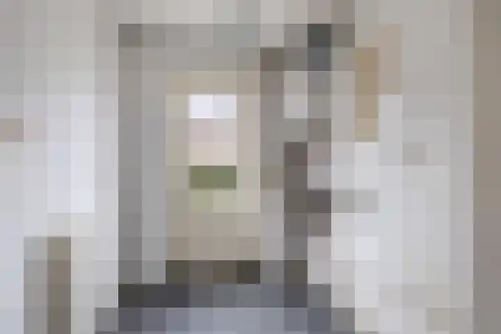 Professor Loréstraat 6 Franeker thumbnail 30
