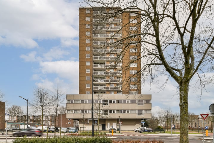 Professor Van der Scheerstraat 203C in Haarlem foto