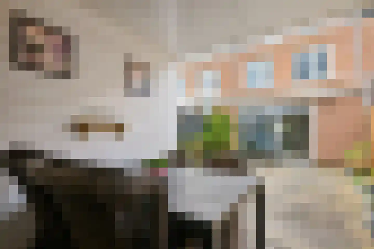 Pronkmos 13 Houten thumbnail 25