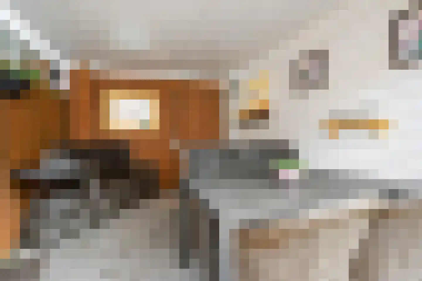 Pronkmos 13 Houten thumbnail 26