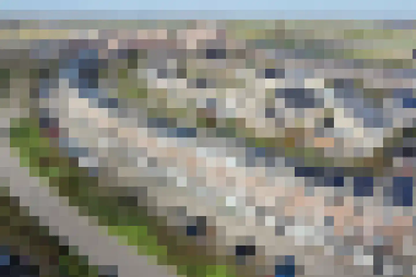 Pronkmos 13 Houten thumbnail 32