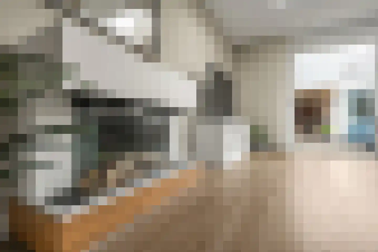 Pronkmos 13 Houten thumbnail 7