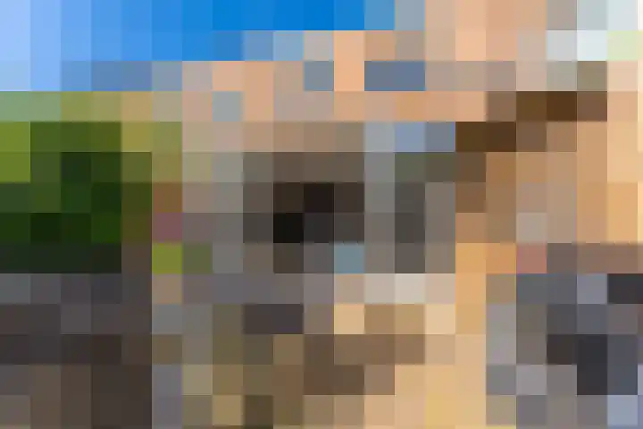 Pronkmos 23 Houten thumbnail 11