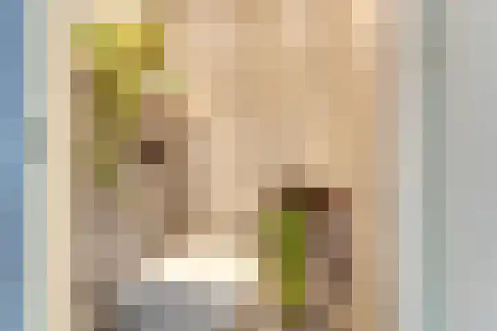 Pronkmos 23 Houten thumbnail 12