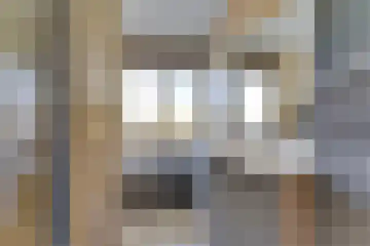 Pronkmos 23 Houten thumbnail 14