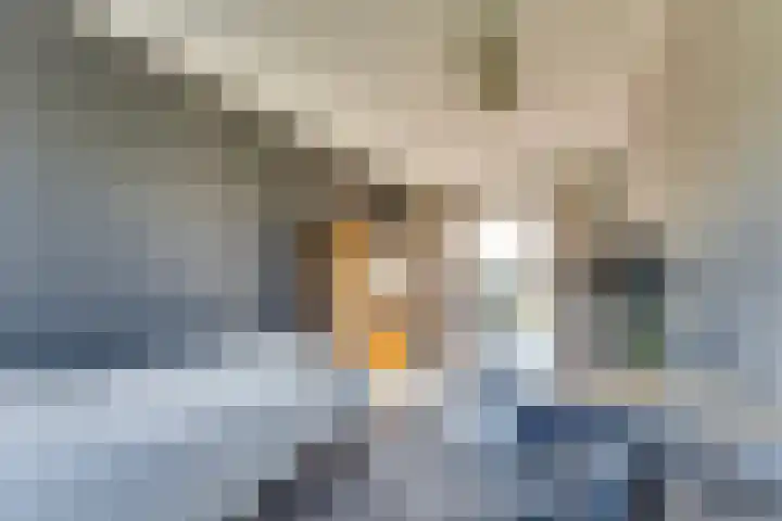 Pronkmos 23 Houten thumbnail 20