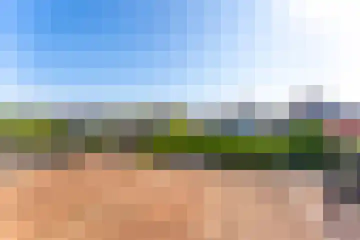 Pronkmos 23 Houten thumbnail 21
