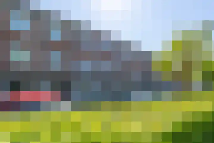 Pronkmos 23 Houten thumbnail 23