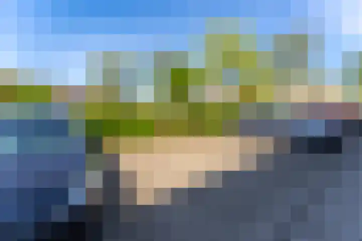 Pronkmos 23 Houten thumbnail 25