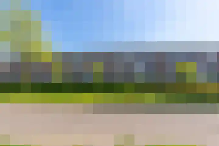 Pronkmos 23 Houten thumbnail 38