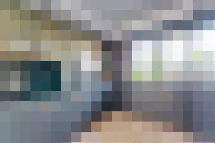 Pronkmos 23 Houten thumbnail 6