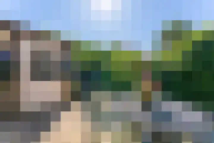 Pronkmos 23 Houten thumbnail 9