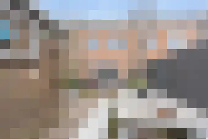Pronkmos 5 Houten thumbnail 16