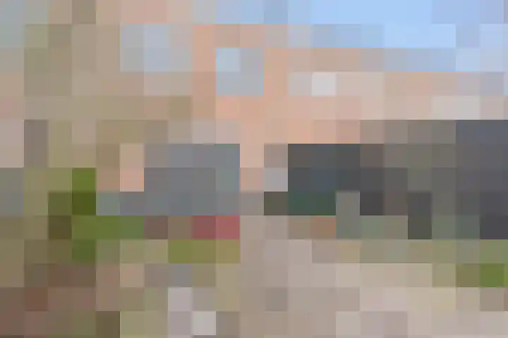 Pronkmos 5 Houten thumbnail 17