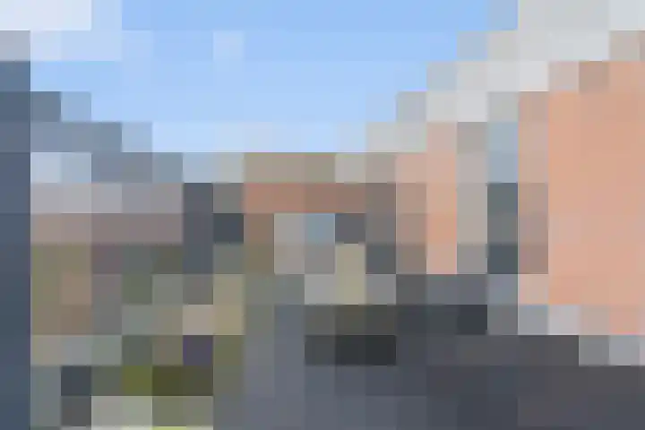 Pronkmos 5 Houten thumbnail 27